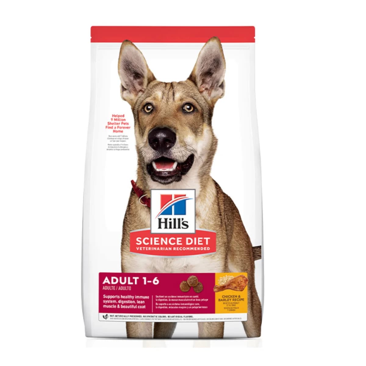 Ração Hills para Cães Adultos 12kg